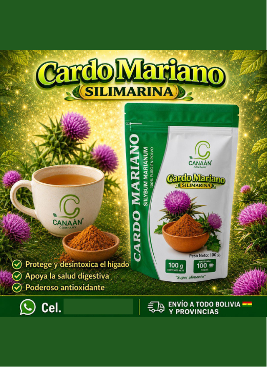 Cardo Mariano