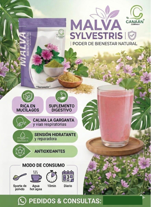Malva Silvestre